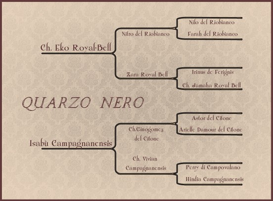 pquarzo.jpg