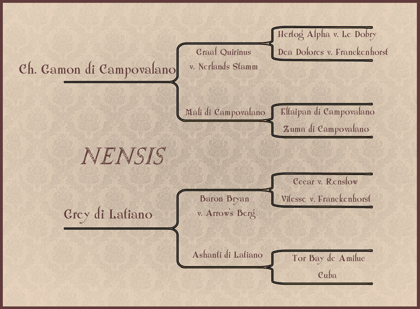 pnensis.jpg