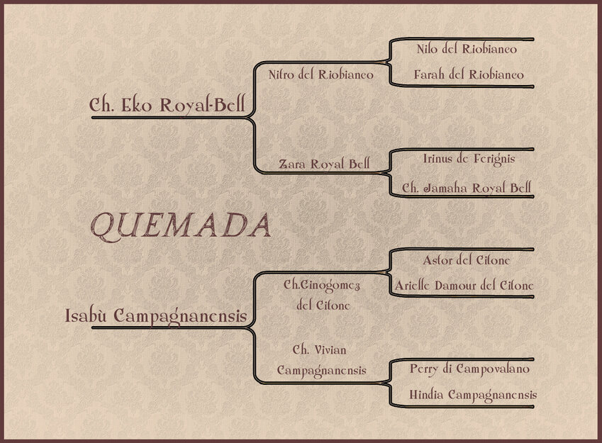 pquemada.jpg