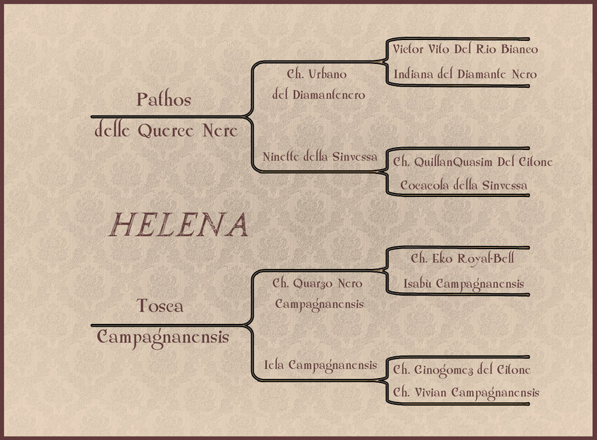 phelena.jpg